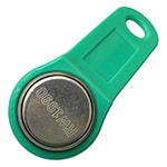 RW1990 iButton for Write and Read with Green Key Fob